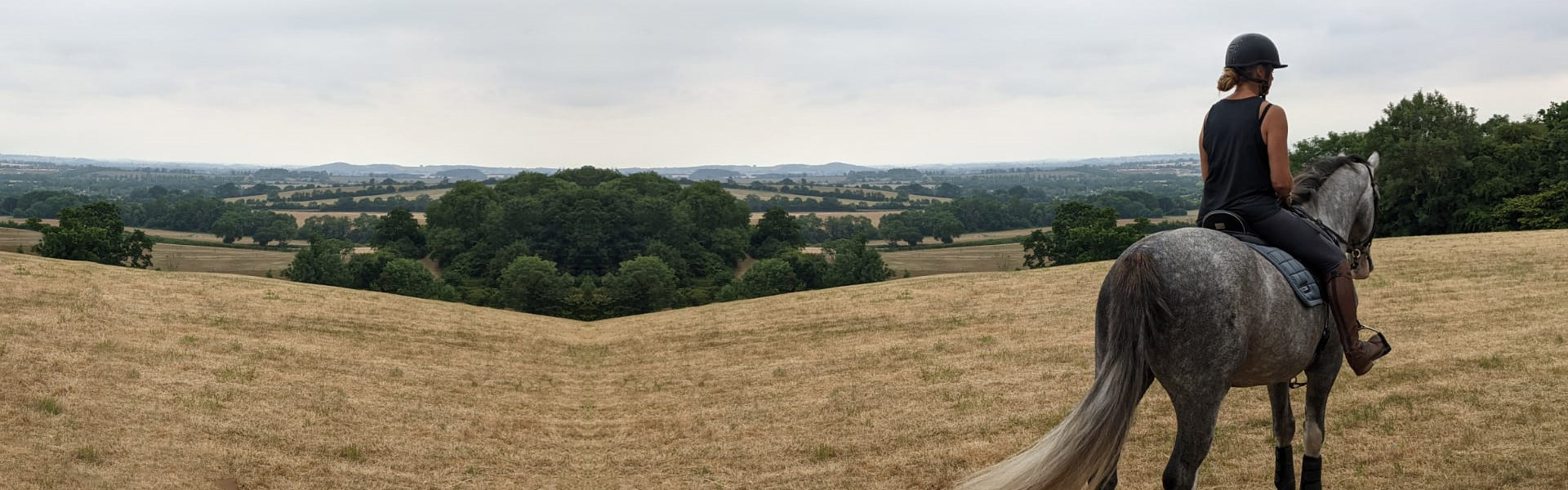 Park Farm Stables