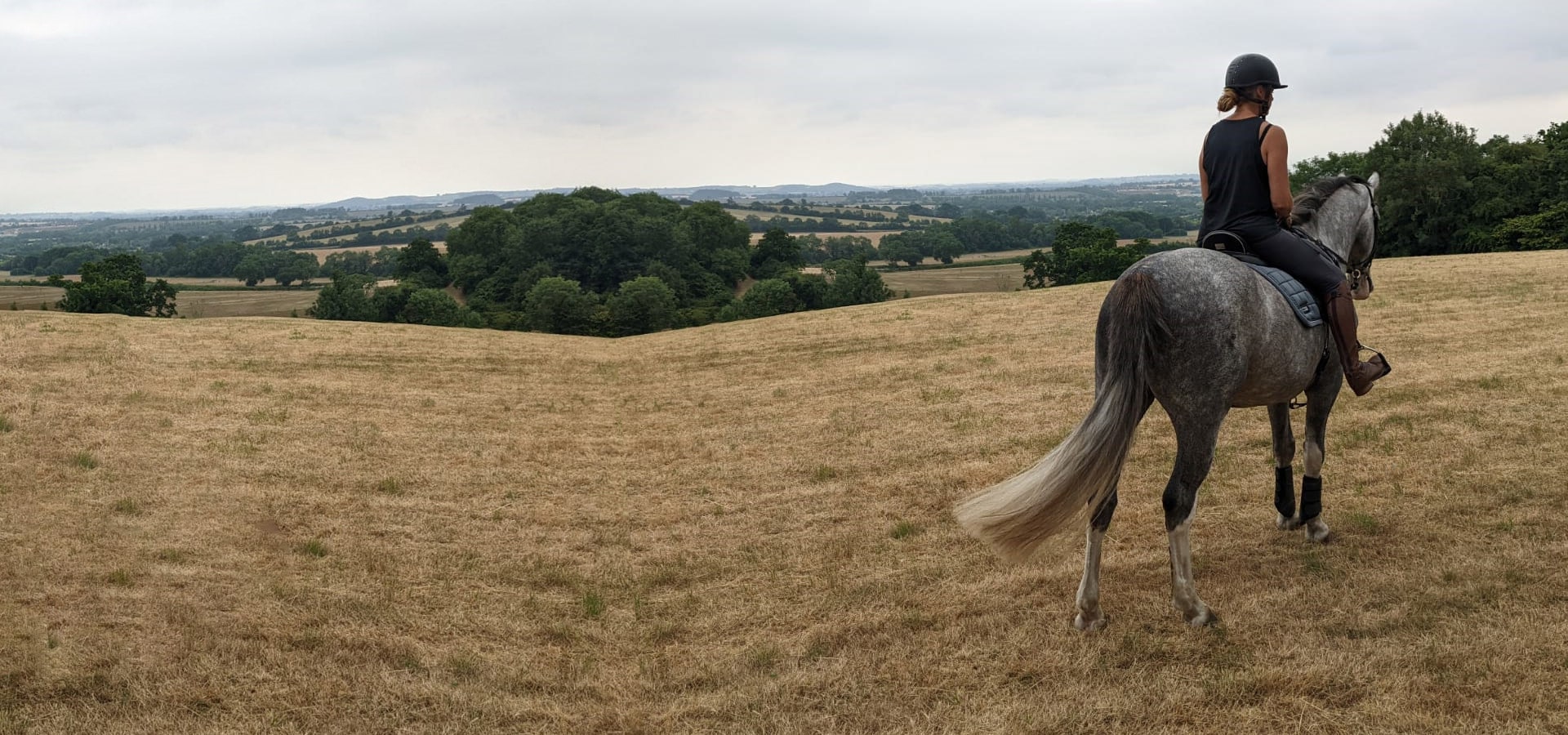 Park Farm Stables