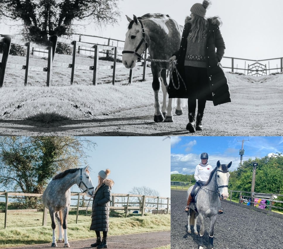 Welcome To Park Farm Stables