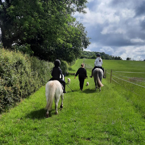 Park Farm Stables
