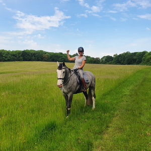 Park Farm Stables