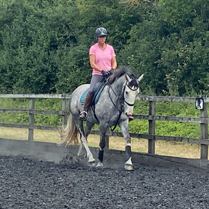 Park Farm Stables