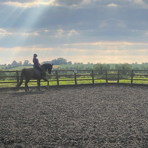 Park Farm Stables