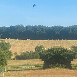 Park Farm Stables