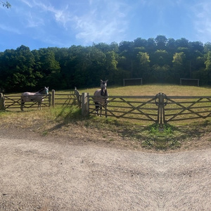 Park Farm Stables