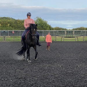 Park Farm Stables
