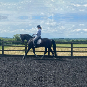 Park Farm Stables