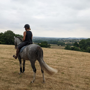 Park Farm Stables
