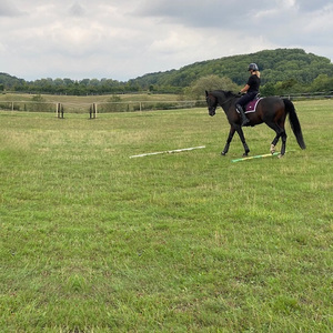Park Farm Stables