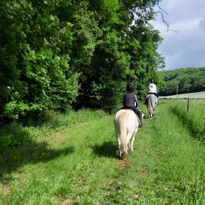 Park Farm Stables