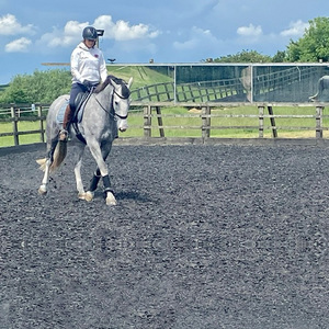 Park Farm Stables
