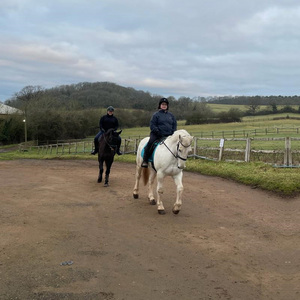 Park Farm Stables