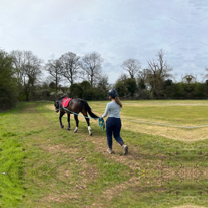 Park Farm Stables