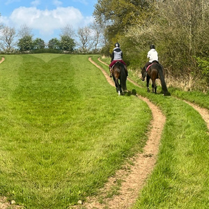 Park Farm Stables