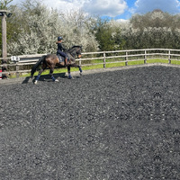 Park Farm Stables