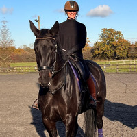 Park Farm Stables
