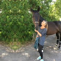 Park Farm Stables