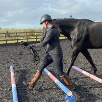 Park Farm Stables