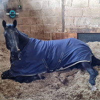 Park Farm Stables