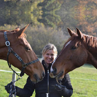 Park Farm Stables
