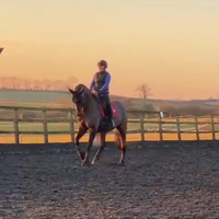 Park Farm Stables