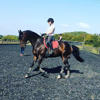 Park Farm Stables