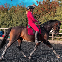 Park Farm Stables