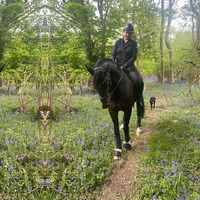 Park Farm Stables